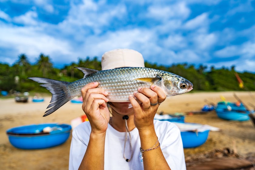 Thu hoạch mẻ cá mới đánh bắt trong ngày cùng ngư dân