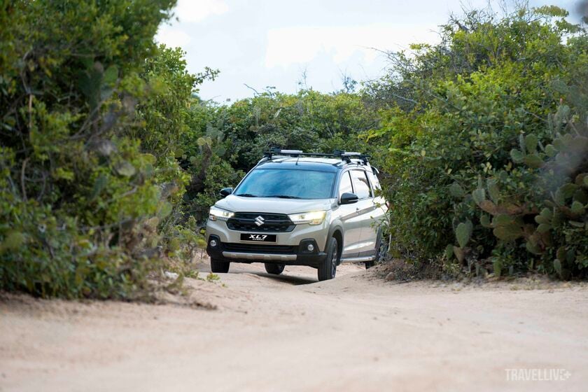 DTH_4691 copy_1