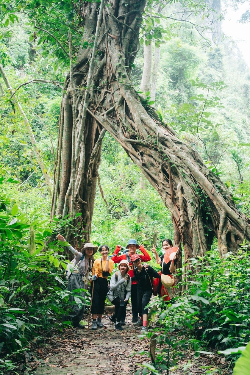 Trên đường trekking xuyên rừng, đoàn anh Thắng được chiêm ngưỡng thảm thực vật nguyên sinh phong phú