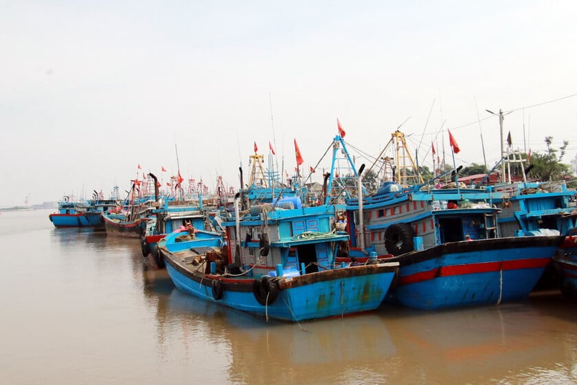 Quảng Ninh đã chuẩn bị nhiều phương án phòng trường hợp xấu xảy ra