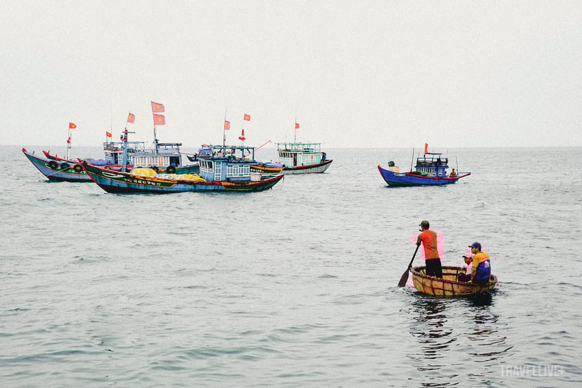 Buổi sáng trên các chuyến tàu đánh bắt cá về