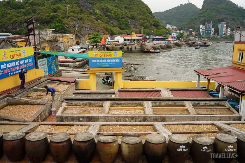 Nước mắm Cát Hải đến nay vẫn là một trong số những thương hiệu nước mắm nổi tiếng cả nước