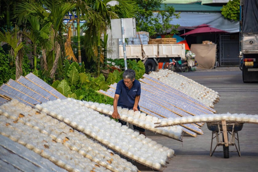 Làng bánh đa Dụ Đại là một trong những làng nghề hiếm hoi ở Bắc Bộ vẫn giữ được nhịp nghề bền bỉ