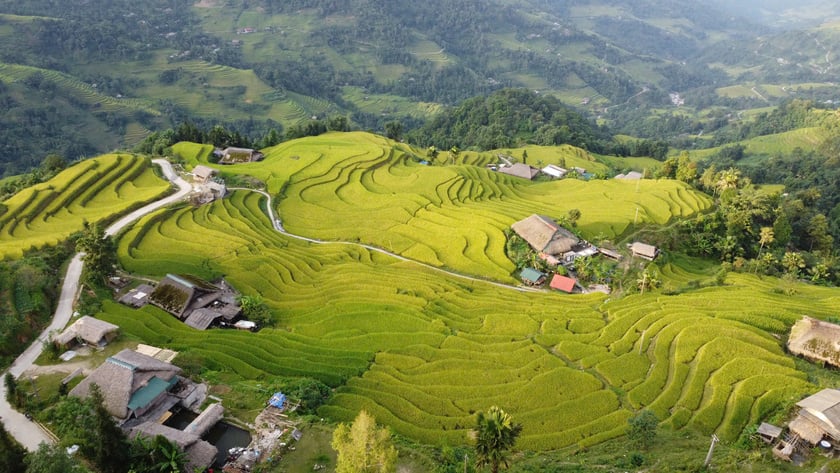 Bản Xà Phìn hiện lên như tiên cảnh, sắp bước vào mùa lúa chín