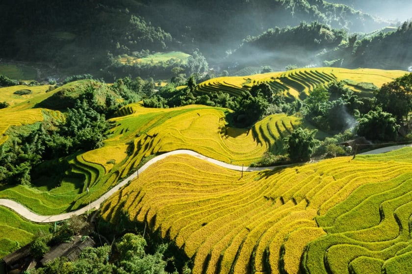 Lào Cai mùa lúa chín tựa như đang thưởng thức một bản giao hưởng dệt nên từ màu sắc và hương thơm