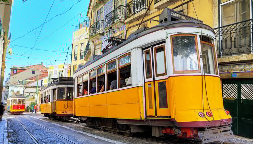 Pedro Bogas, lãnh đạo mạng lưới giao thông công cộng Carris Lisbon, cho biết họ đã