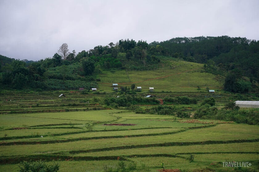 Khung cảnh đồng ruộng bình dị của làng Kon Vơng Kia