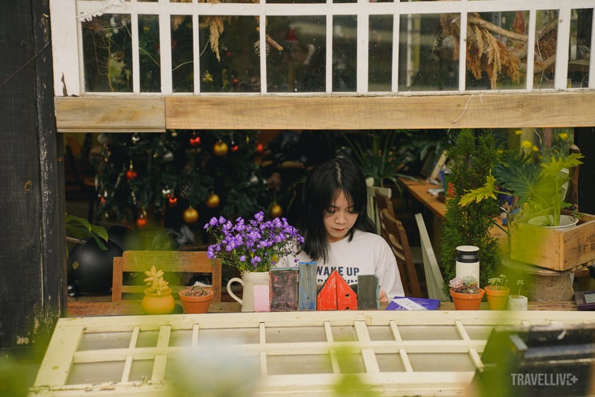 The Burrow được xây dựng để trở thành 