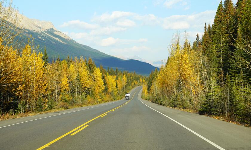 Cung đường mùa thu trên đường đến Banff
