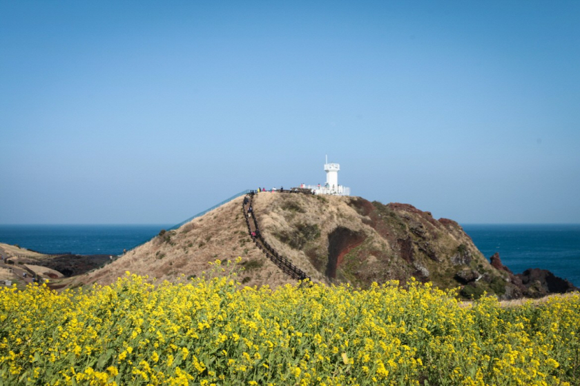 Jeju - hòn đảo du lịch xinh đẹp của Hàn Quốc