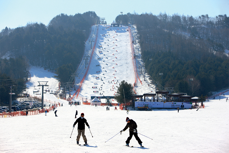 Đến Gangwon vào mùa đông để trượt tuyết là hoạt động yêu thích của du khách