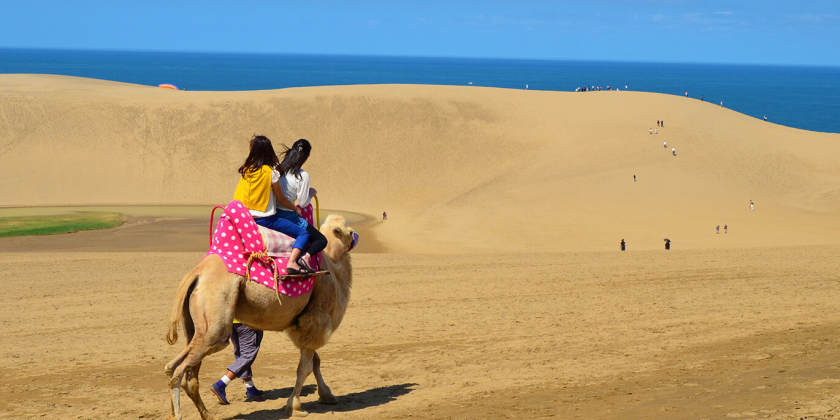 ...hay thong dạo đồi cát trên lưng lạc đà là một trải nghiệm thú vị không thể bỏ qua