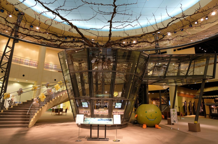 Bảo tàng mang chủ đề trái lê độc nhất Nhật Bản có tên “Tottori Nijisseiki Nashi Kinen Kan”