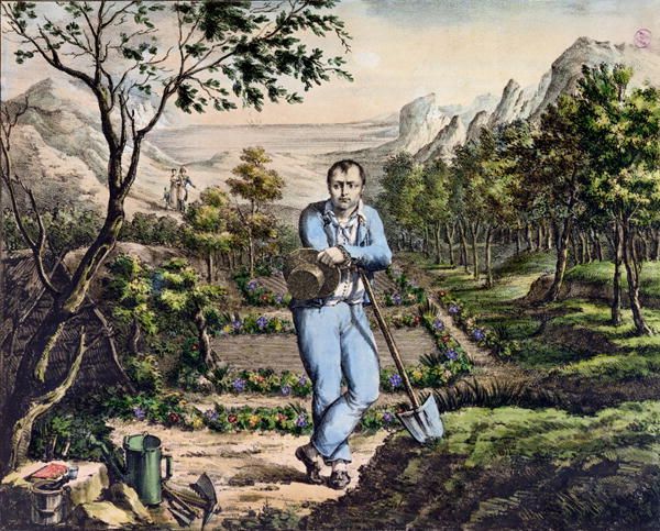 Napoléon chăm sóc khu vườn của mình trên đảo (Ảnh: Internet)