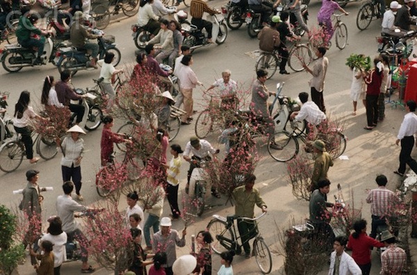 Chợ hoa ngày Tết diễn ra trên lề đường song song với đường phố tấp nập người qua lại sắm Tết.
