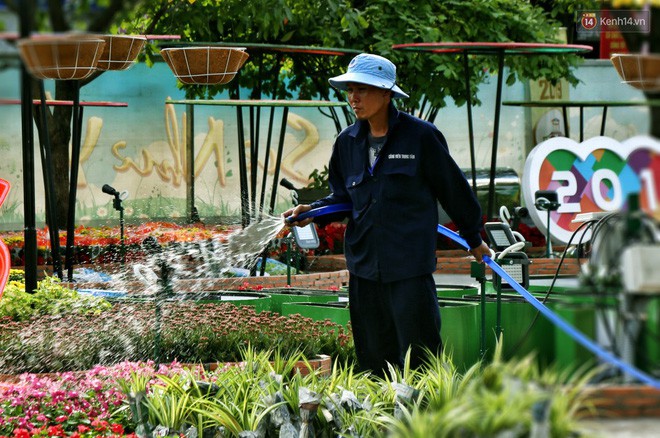 Công nhân chăm sóc, tưới nước cho hoa mỗi buổi chiều tại đường hoa Tết.