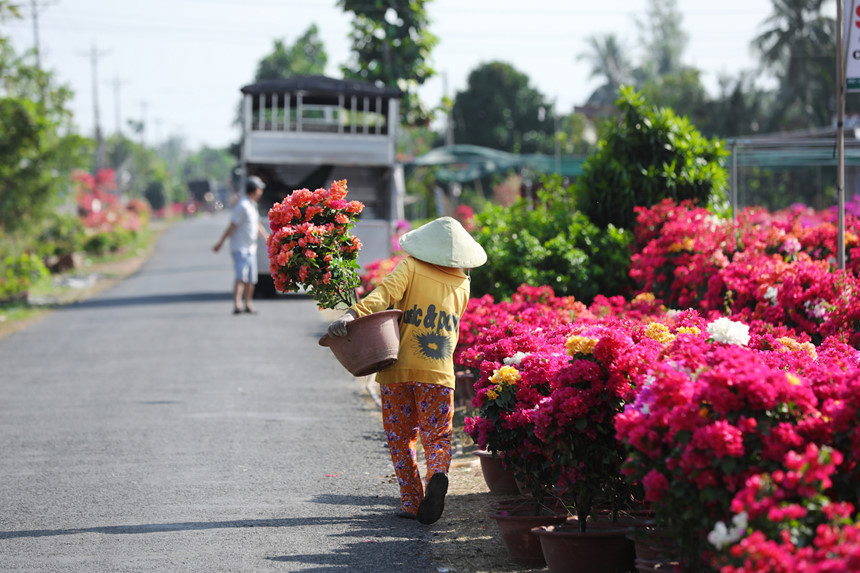 Hình ảnh người dân tất bật mang hoa đi bán