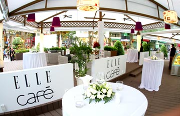 Dịu dàng, lãng mạn như Elle Café