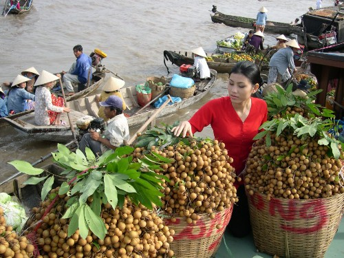 Giảm 1,6 triệu đồng khám phá hành trình sông nước