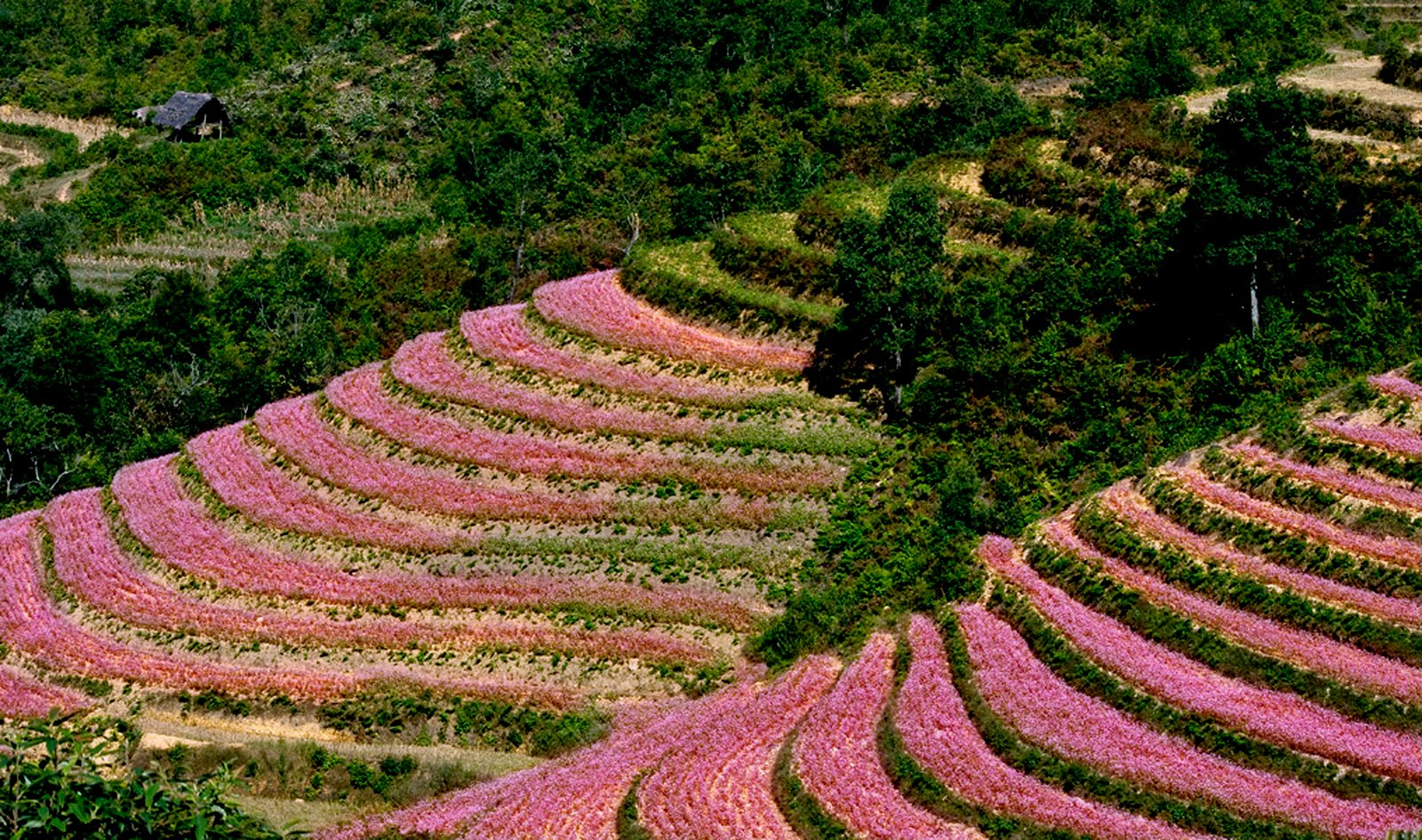 9 trải nghiệm nên thử ở Hà Giang