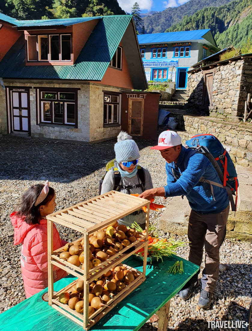 Vì tính chất công việc nặng nhọc nên hầu hết trụ cột kinh tế chính trong các gia đình Sherpa là người đàn ông. Phụ nữ và trẻ nhỏ ở nhà thường làm các công việc nội trợ, buôn bán cho khách du lịch. Trong ảnh là một cô bé người Sherpa đang bán rau củ cho du khách.