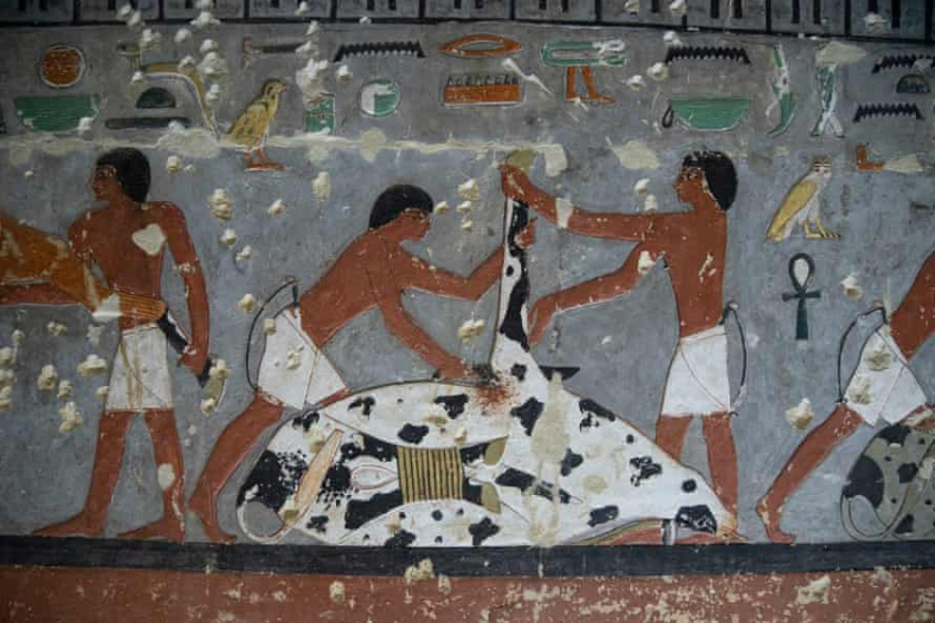 Bức vẽ trên tường tại lăng mộ của Khuwy. - Ảnh: Ian Glatt/National Geographic/Windfall Films
