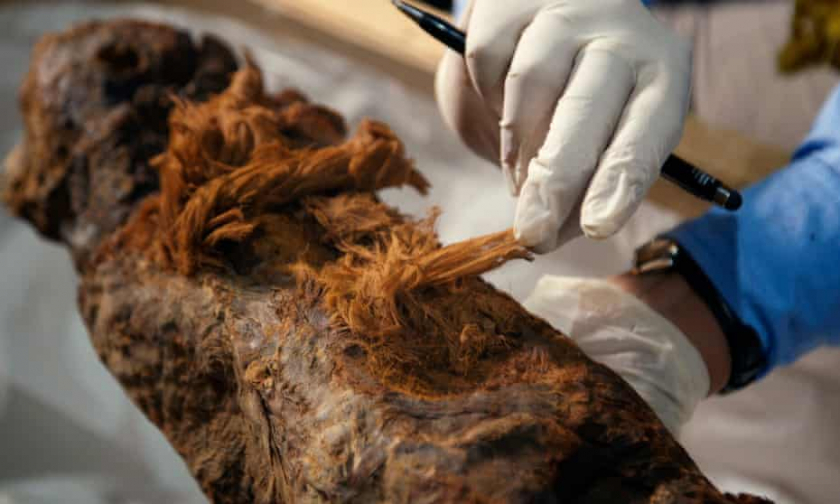 Một nhà khoa học đang nghiên cứu xác ướp của Khuwy. - Ảnh: Ian Glatt/National Geographic/Windfall Films