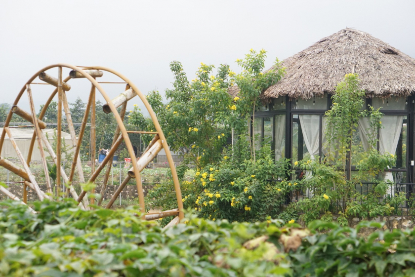 Trang trại Gia Trịnh Ecofarm thuộc thôn Bài - xã Yên Bài, Ba Vì. Ảnh: Gia Trịnh Ecofarm