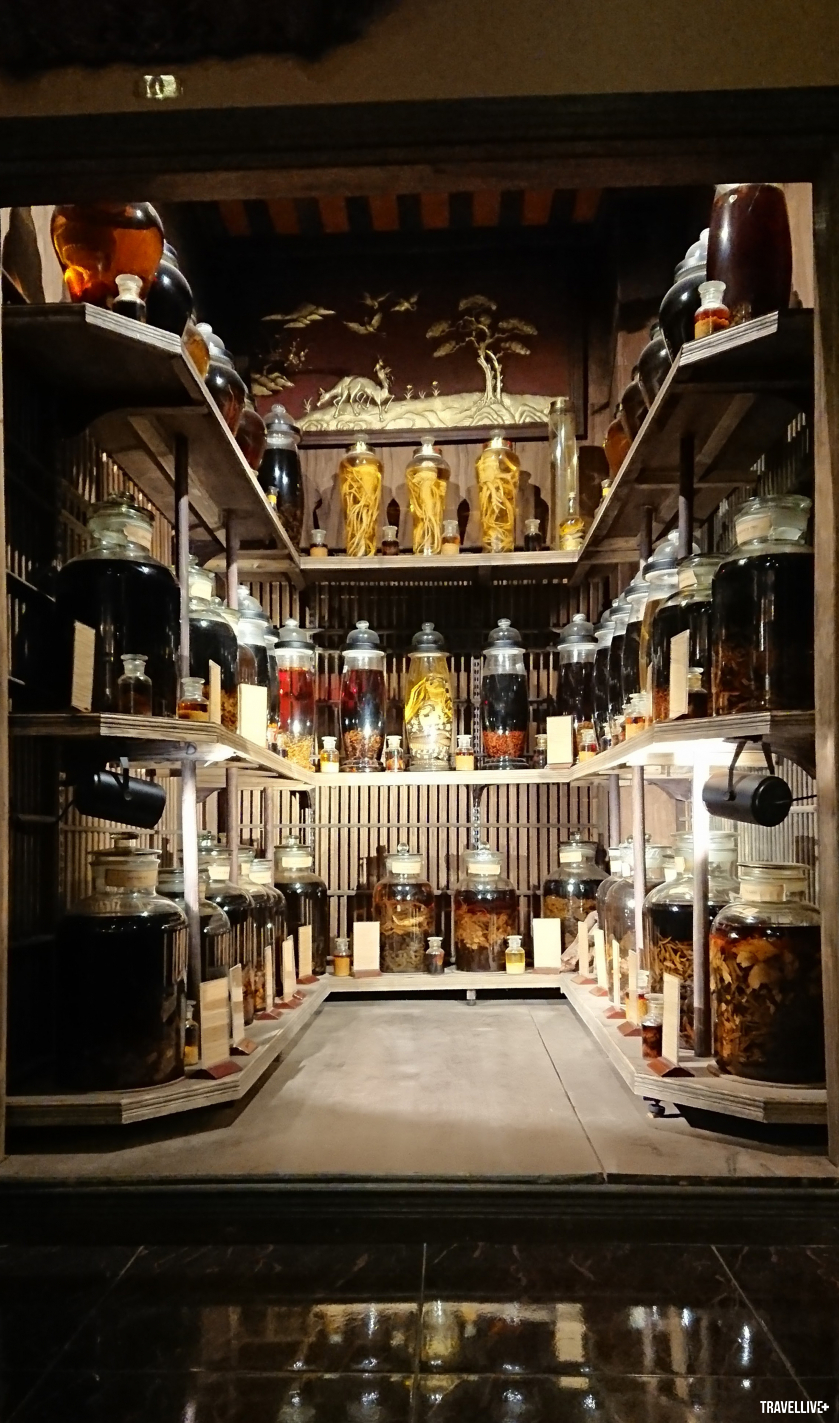 Phòng sưu tập rượu thuốc rất đa dạng, từ kỷ tử đến nhân sâm, hổ mang, tắc kè...    
