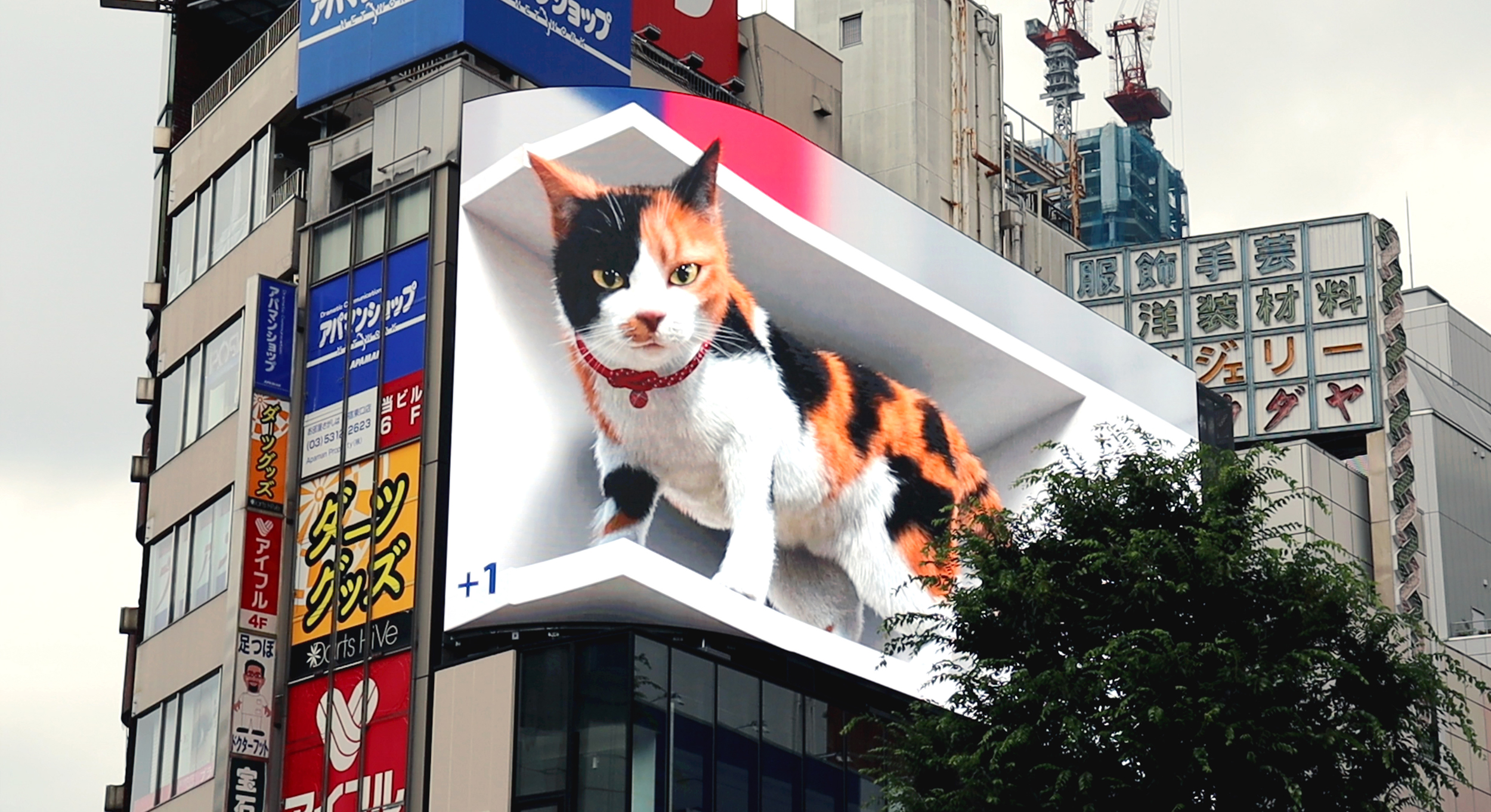 Xuất hiện mèo khổng lồ giữa lòng Tokyo