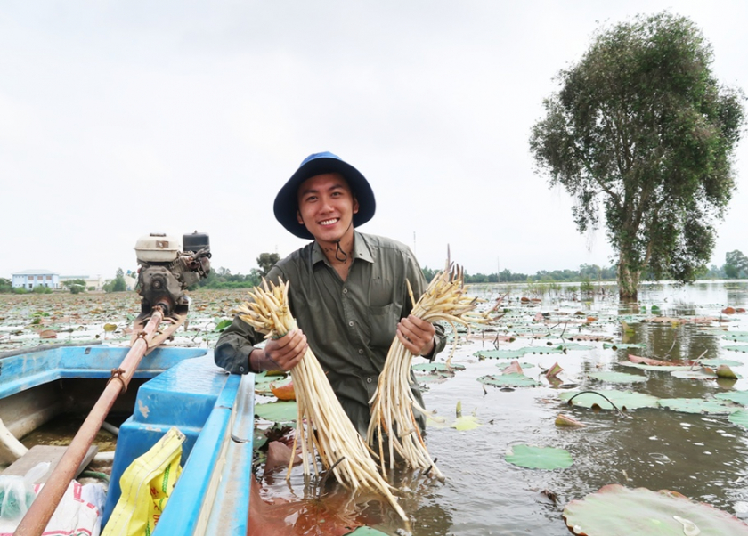 Khoai Lang Thang tham gia thu hoạch ngó sen cùng người dân miền tây (Ảnh: Facebook Đinh Võ Hoài Phương)