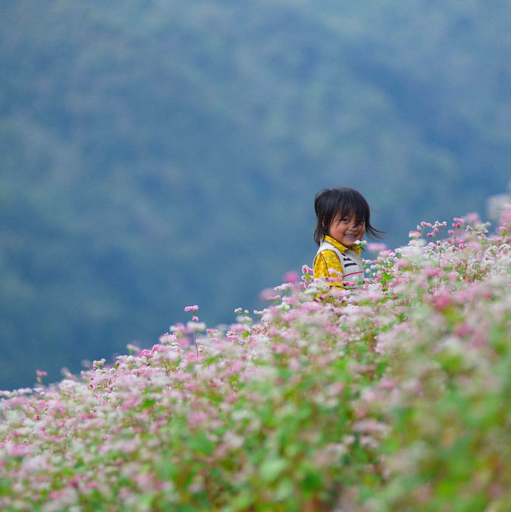 Ảnh: Nguyễn Chí Nam