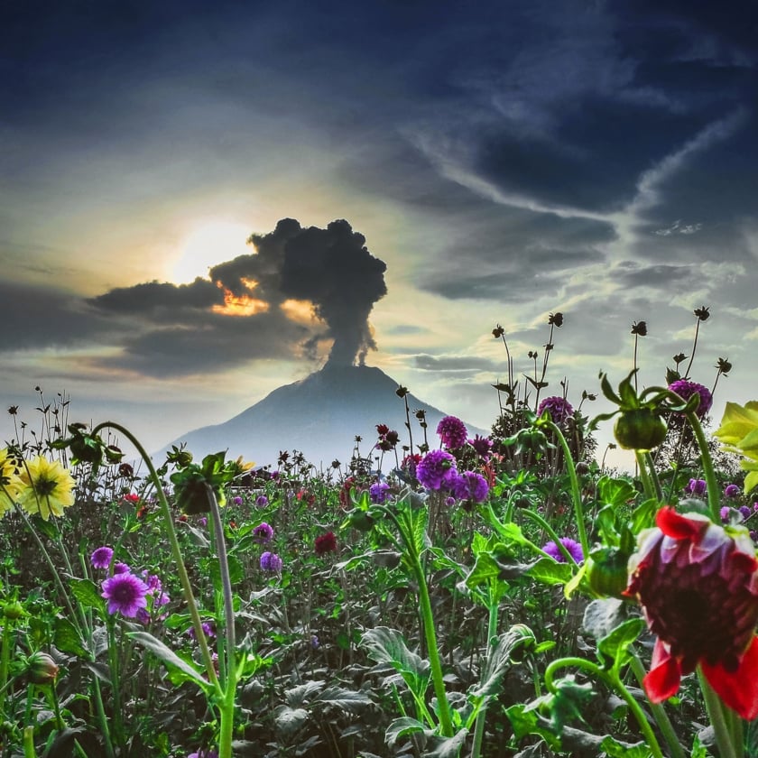 Núi lửa Sinabung - Ảnh: - Tibta Pangin, Anadolu Agency/Getty Images