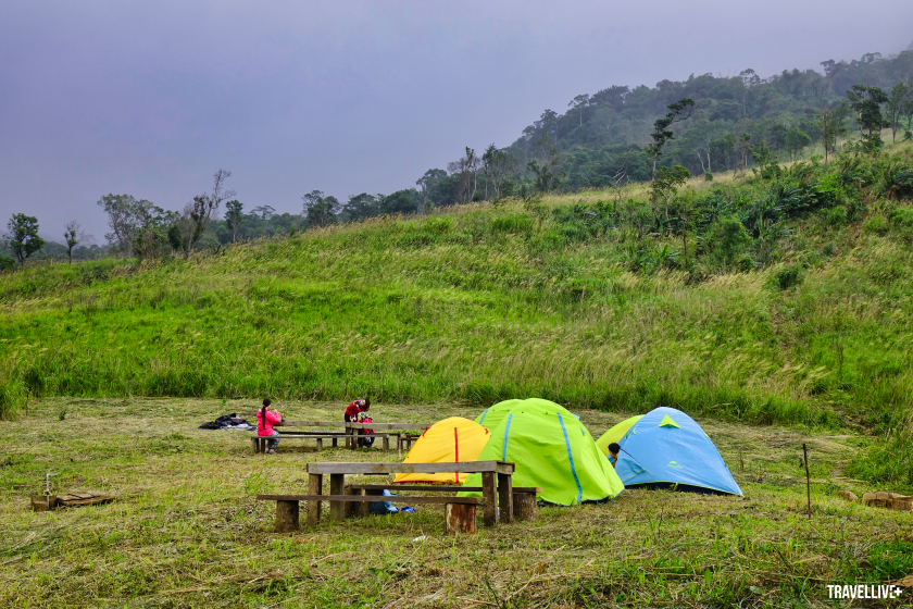 Địa điểm cắm trại trên đồi cỏ Tà Giang