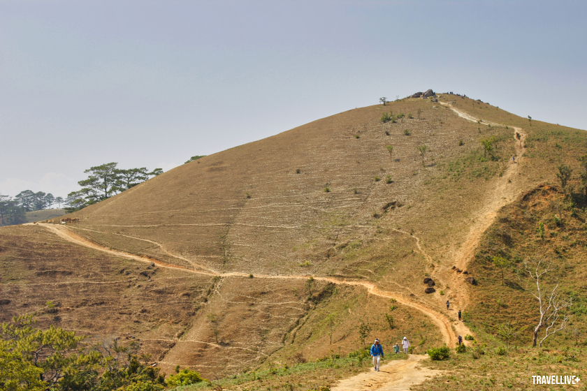Những con đường mòn quanh ngọn đồi đặt chóp inox của cung Tà Năng - Phan Dũng