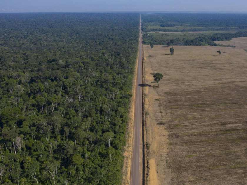 Rừng Amazon sau khi bị phát quang - Ảnh: AP Photo