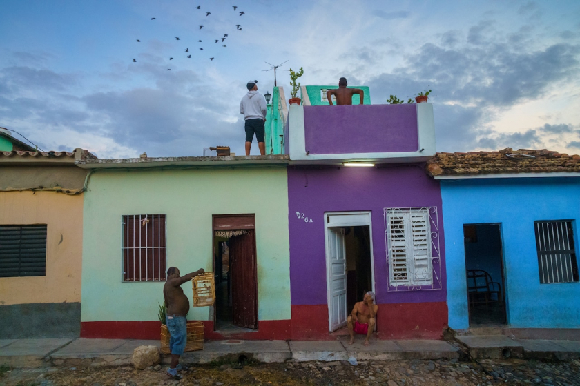 Ngoài việc nuôi các loài chim biết hót, một số người Cuba còn tham gia chọi gà và đua chim bồ câu. Vào một buổi tối ở thị trấn Trinidad, ta có thể thấy nhiều đứng đợi trên mái nhà để đợi chim bồ câu của mình bay về.