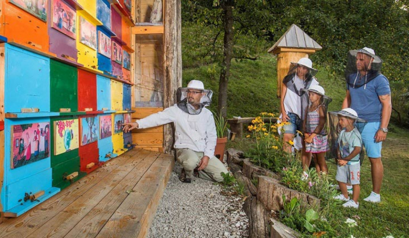 Du lịch ong ở Slovenia. (Ảnh: Internet)