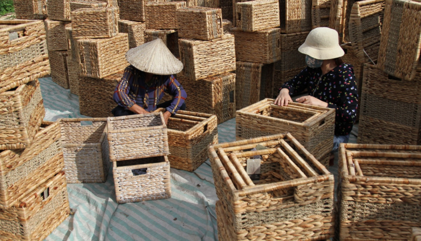 Làng nghề đan cỏ tế Phú Túc, huyện Phú Xuyên (Hà Nội) - Ảnh: VOV