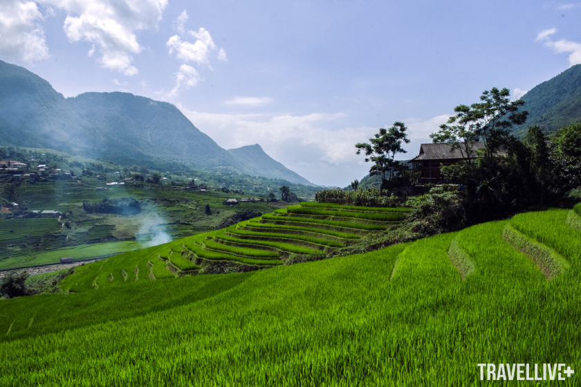 Những thửa ruộng bậc thang ở bản Tả Van.