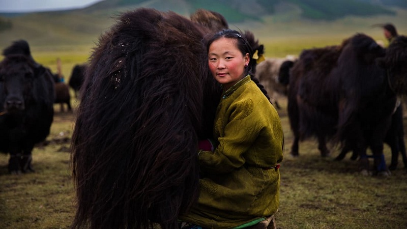 Central Mongolia: Mihaela chụp bức ảnh này vào một ngày tháng tám ở vùng đất bị cô lập ở Mông Cổ. Lúc đó trời vẫn lạnh. Trong thời tiết khắc nghiệt ấy, cô nhìn thấy người phụ nữ này đang duyên dáng làm công việc trong trang trại của mình. Khi làm việc, cô thật sự tỏa sáng. 