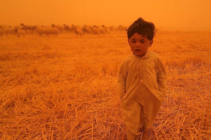 Một đứa trẻ gần cánh đồng nơi những người chăn cừu Bedouin đi dạo cùng bầy cừu của họ ở khu vực al-Henniyah bên ngoài Najaf, Iraq khi một cơn bão cát vừa càn quét