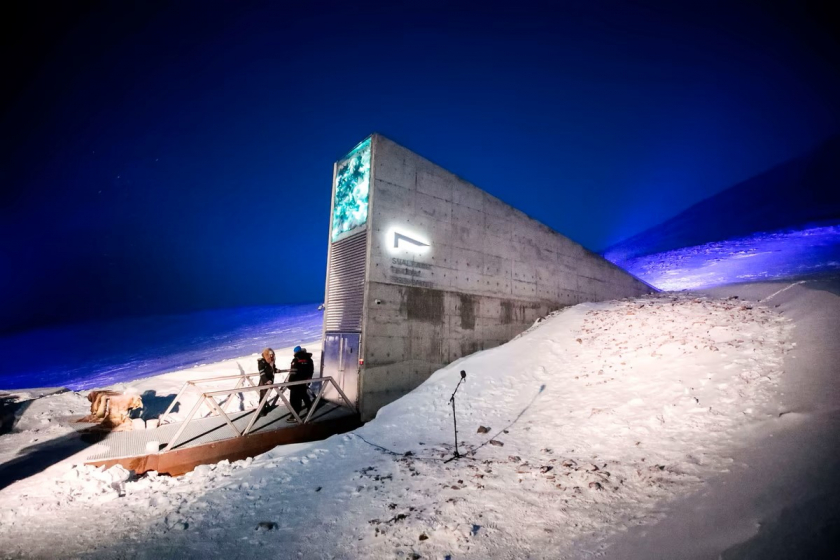 Kho dự trữ hạt giống của nhân loại được xây dựng ở Svalbard