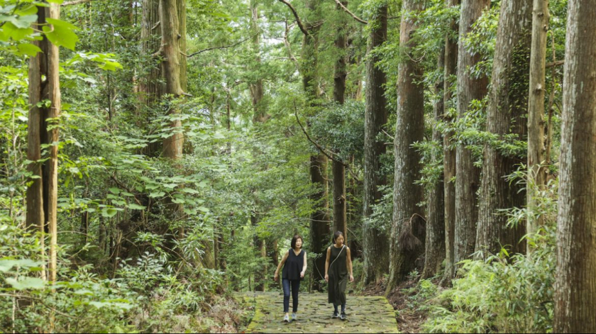 Tắm rừng nguyên bản là dưỡng sinh truyền thống lâu đời của Nhật Bản, là việc người ta đi tản bộ vào trong rừng không có mục đích gì cả. Đúng nghĩa là đắm mình trong thiên nhiên
