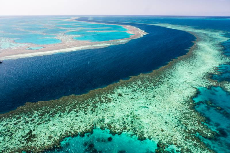 Khách du lịch thường bị lạc, chết đuối hoặc suýt chết đuối tại rạn san hô Great Barrier - một trong những điểm tham quan nổi tiếng nhất của Úc