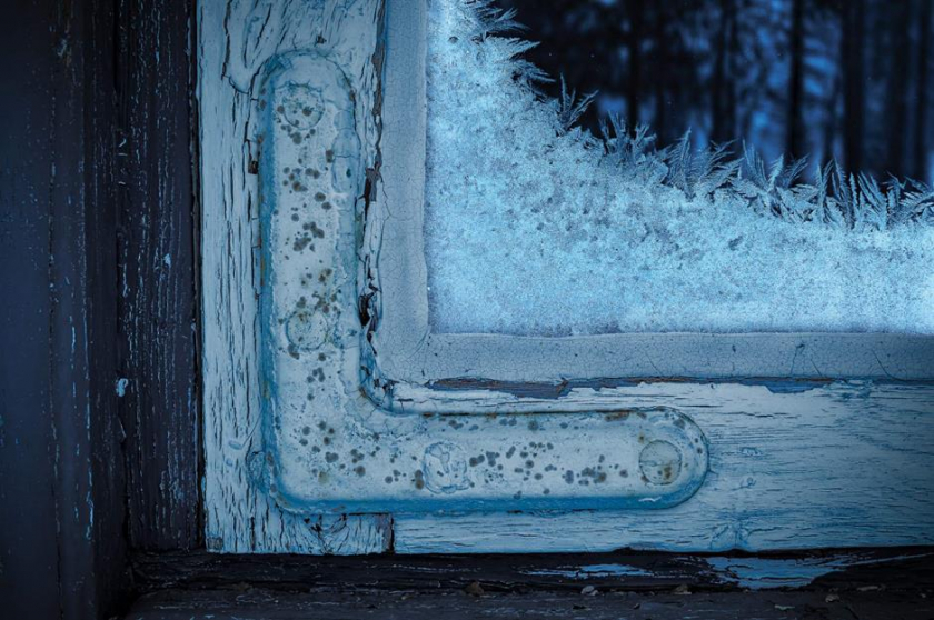 Băng giá mùa đông ở Kurravaara, Thụy Điển: Mảng băng trên cửa sổ với các hoa văn đẹp mắt có hình dạng giống như những chiếc lá này là do bụi, vết xước và các khiếm khuyết nhỏ khác trên kính, khiến các tinh thể băng phân nhánh tạo thành. Bức ảnh được đánh giá cao vì chú ý đến từng chi tiết và khung hình, được chụp ở miền bắc Thụy Điển bởi nhiếp ảnh gia Felipe Martin Menzella.