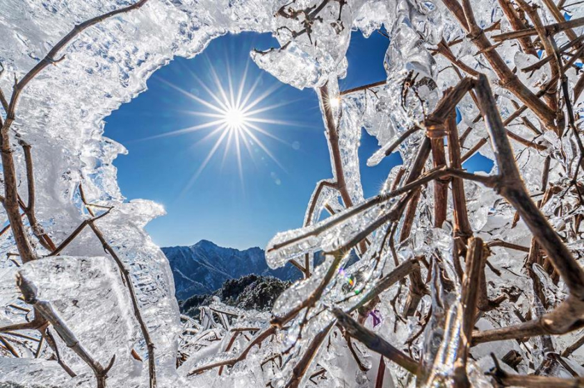 Twinkle Twinkle Little Star, Đài Loan: Những cành cây phủ đầy băng trở thành cửa sổ đón ánh nắng ban mai trong bức ảnh quyến rũ này, được chụp trên một ngọn núi ở Đài Loan bởi Rossi Fang