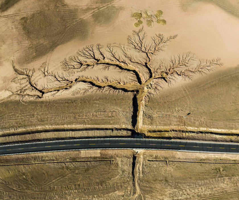 Hình ảnh đánh bại hơn 100.000 bức ảnh và là phần thưởng tuyệt vời cho nỗ lực nhiếp ảnh gia đã bỏ ra. Ở hai bên đường cao tốc, những con mòng biển được hình thành bởi sự xói mòn của nước mưa vươn dài như một cái cây tại Tây Tạng, một khu tự trị ở tây nam Trung Quốc. Để chụp được hình ảnh này, nhiếp ảnh gia Li Ping đã ngủ một mình trong bãi đậu xe ven đường qua đêm trước khi sử dụng thiết bị bay không người lái vào sáng sớm