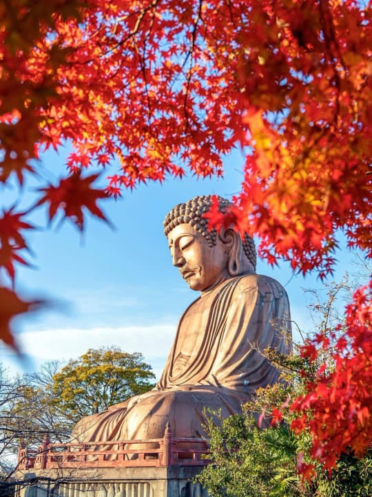 Đại Phật bên tán lá đỏ khi mùa Thu sang