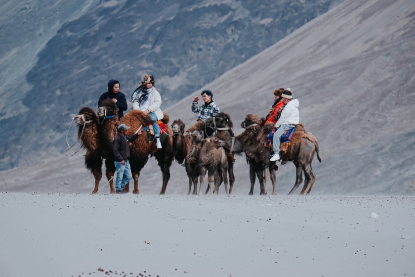 Trải nghiệm cưỡi lạc đà băng qua thung lũng Nubra